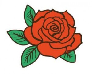 Rose cachée sur notre site Internet